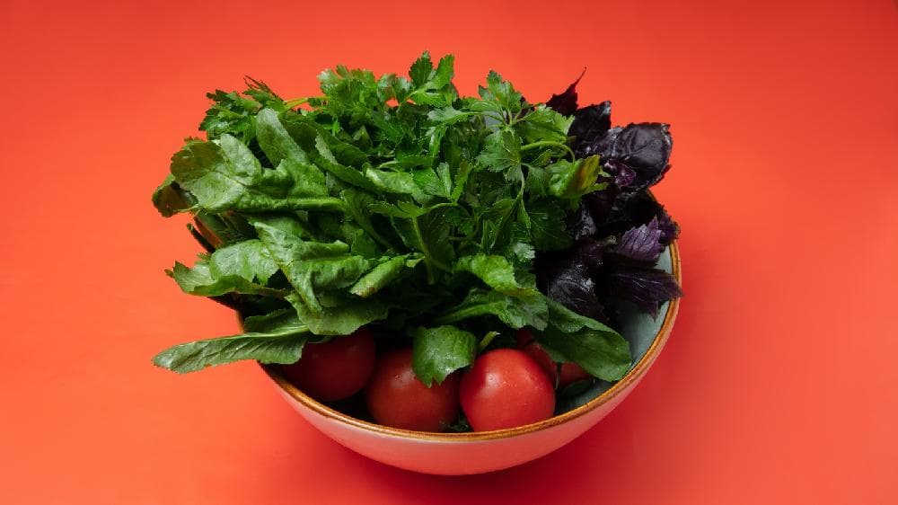 Təzə Salat